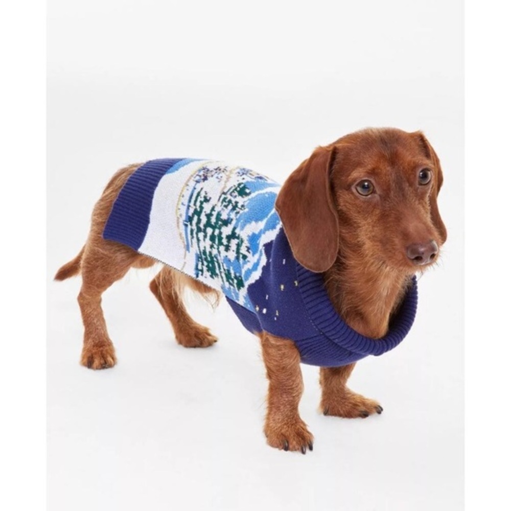 Holiday Lane XS Pet Sweater snowy village town wonderland Blue family sweaters